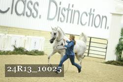 24R13_10025 thumbnail