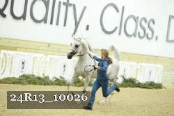 24R13_10026 thumbnail