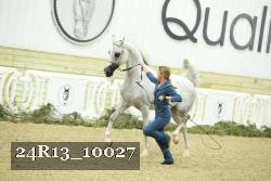 24R13_10027 thumbnail