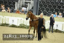 24R13_10029 thumbnail