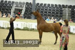 24R13_10032 thumbnail