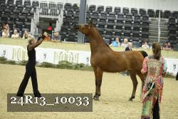 24R13_10033 thumbnail