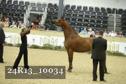 24R13_10034 thumbnail