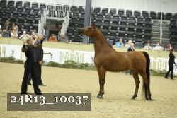 24R13_10037 thumbnail