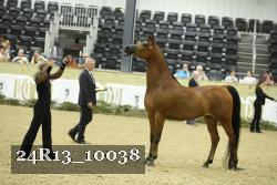 24R13_10038 thumbnail