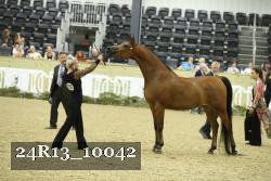 24R13_10042 thumbnail