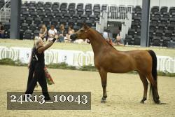 24R13_10043 thumbnail