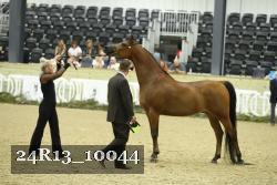 24R13_10044 thumbnail