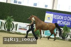 24R13_10046 thumbnail