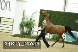 24R13_10048 thumbnail
