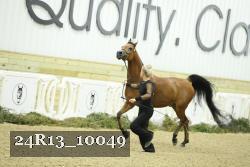 24R13_10049 thumbnail