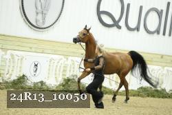 24R13_10050 thumbnail