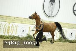24R13_10051 thumbnail