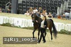 24R13_10052 thumbnail
