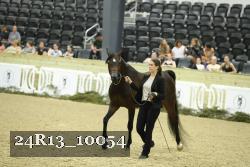 24R13_10054 thumbnail