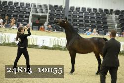 24R13_10055 thumbnail