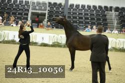 24R13_10056 thumbnail