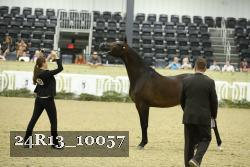 24R13_10057 thumbnail