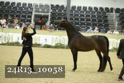 24R13_10058 thumbnail