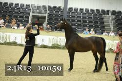 24R13_10059 thumbnail