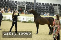 24R13_10060 thumbnail