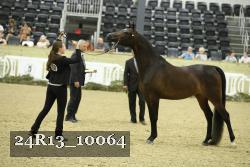 24R13_10064 thumbnail