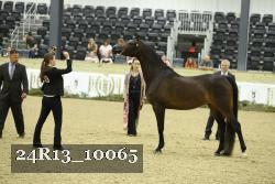 24R13_10065 thumbnail