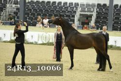 24R13_10066 thumbnail