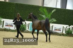24R13_10067 thumbnail