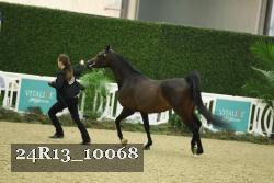 24R13_10068 thumbnail