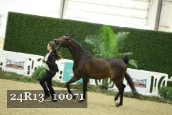 24R13_10071 thumbnail
