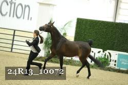 24R13_10072 thumbnail