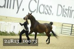 24R13_10073 thumbnail