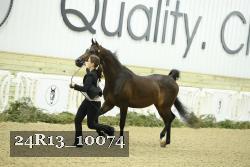 24R13_10074 thumbnail