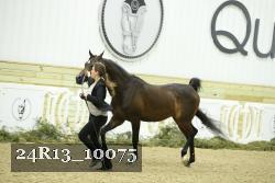 24R13_10075 thumbnail