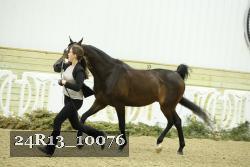 24R13_10076 thumbnail
