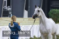24R13_10078 thumbnail