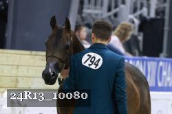 24R13_10080 thumbnail