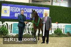 24R13_10086 thumbnail