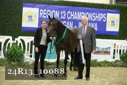 24R13_10088 thumbnail