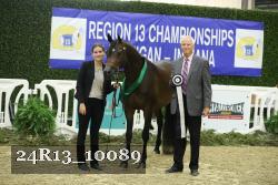 24R13_10089 thumbnail