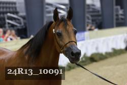 24R13_10091 thumbnail