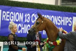 24R13_10093 thumbnail