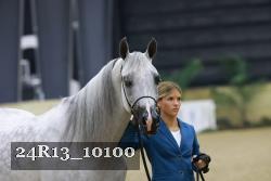 24R13_10100 thumbnail