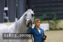24R13_10101 thumbnail