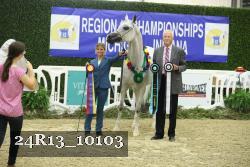 24R13_10103 thumbnail