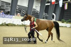 24R13_10108 thumbnail