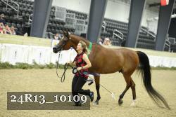 24R13_10109 thumbnail