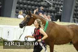 24R13_10110 thumbnail