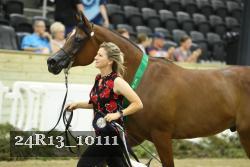 24R13_10111 thumbnail